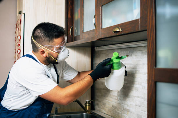 Best Bed Bug Extermination  in Black Hammock, FL