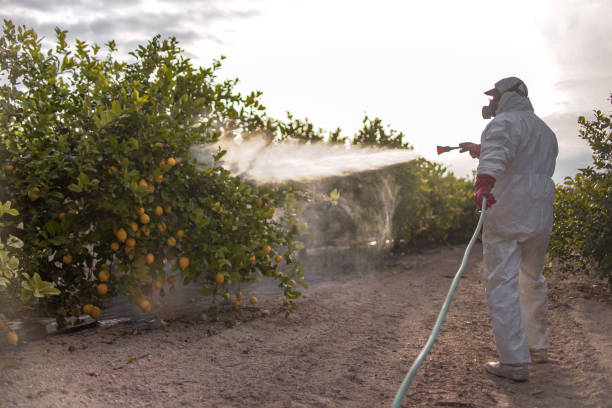 Best Best Pest Control Companies  in Black Hammock, FL