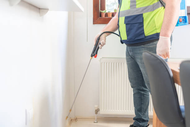 Wasp Removal Services in Black Hammock, FL