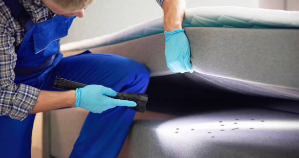 Best Affordable Pest Control Services  in Black Hammock, FL