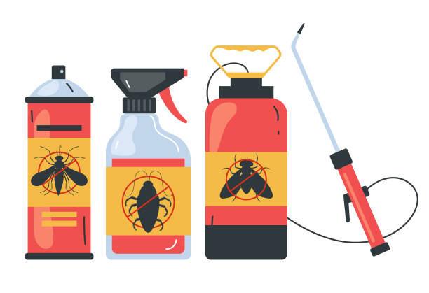 Best Ant Control Services  in Black Hammock, FL
