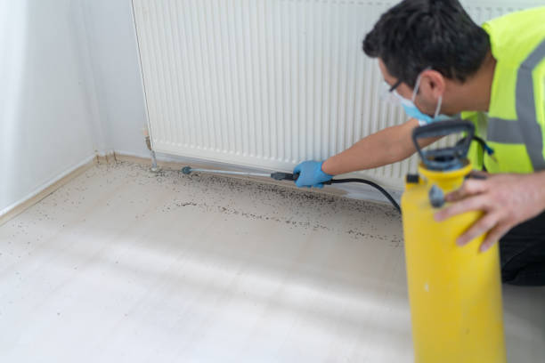 Best Affordable Pest Control Services  in Black Hammock, FL