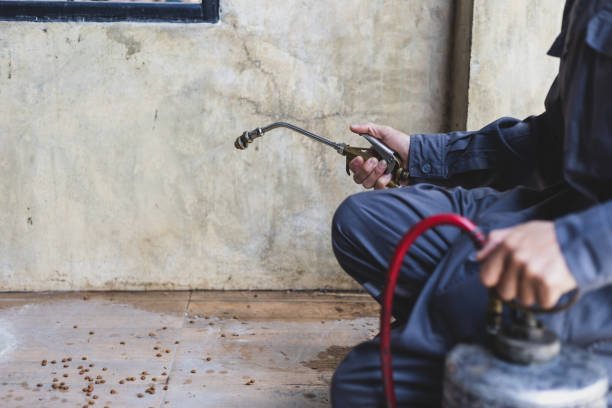 Best Best Pest Control Companies  in Black Hammock, FL