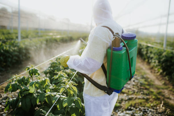 Best Commercial Pest Control Services  in Black Hammock, FL